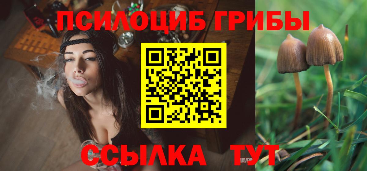 закладка  Галлюциногенные грибы прущие грибы  Вход с VPN  Тверь 